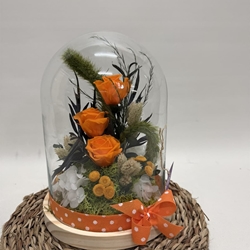 Cúpula en tonos naranjas - Imagen 1