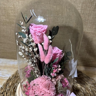 Cúpula en tonos rosa - Imagen 1