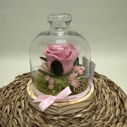 Cúpula en tonos rosa - Imagen 1