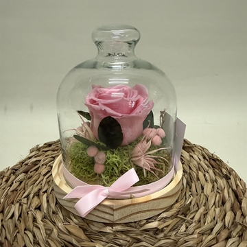 Cúpula en tonos rosa - Imagen 1