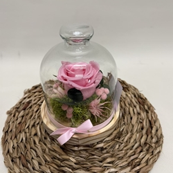 Cúpula en tonos rosa - Imagen 2