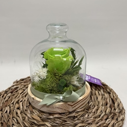 Cúpula en tonos verdes - Imagen 1