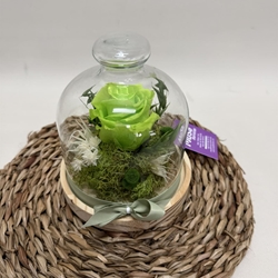 Cúpula en tonos verdes - Imagen 2