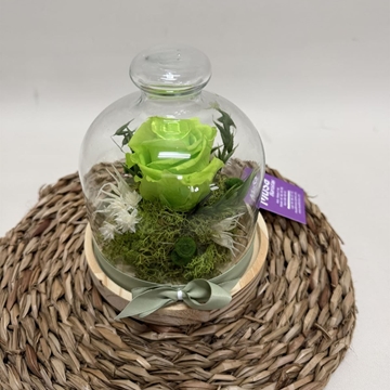 Cúpula en tonos verdes - Imagen 2