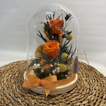 Cúpula naranja - Imagen 1