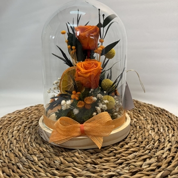 Cúpula naranja - Imagen 2