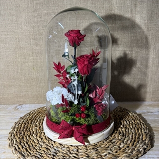 Cúpula roja - Imagen 1