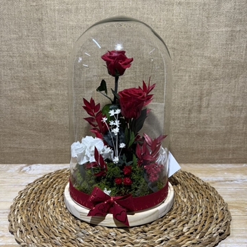 Cúpula roja - Imagen 2