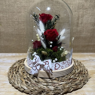 Cúpula roja - Imagen 1