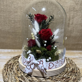 Cúpula roja - Imagen 2