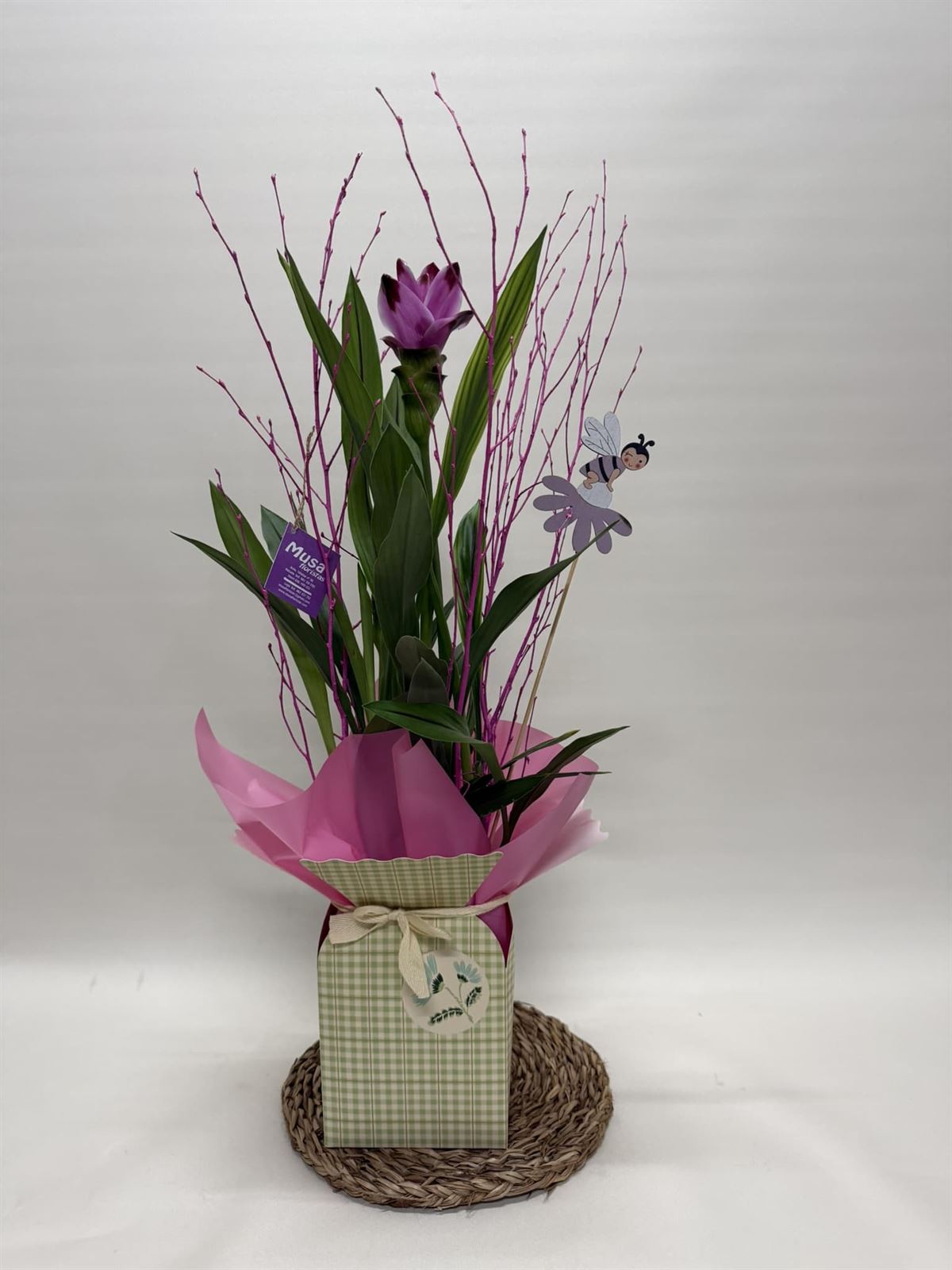 Cúrcuma en bolsa - Imagen 1