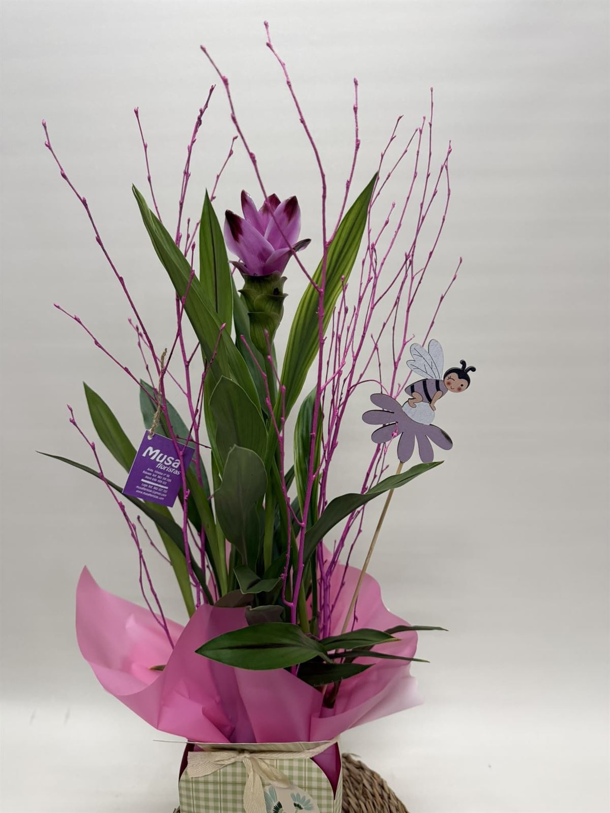 Cúrcuma en bolsa - Imagen 2