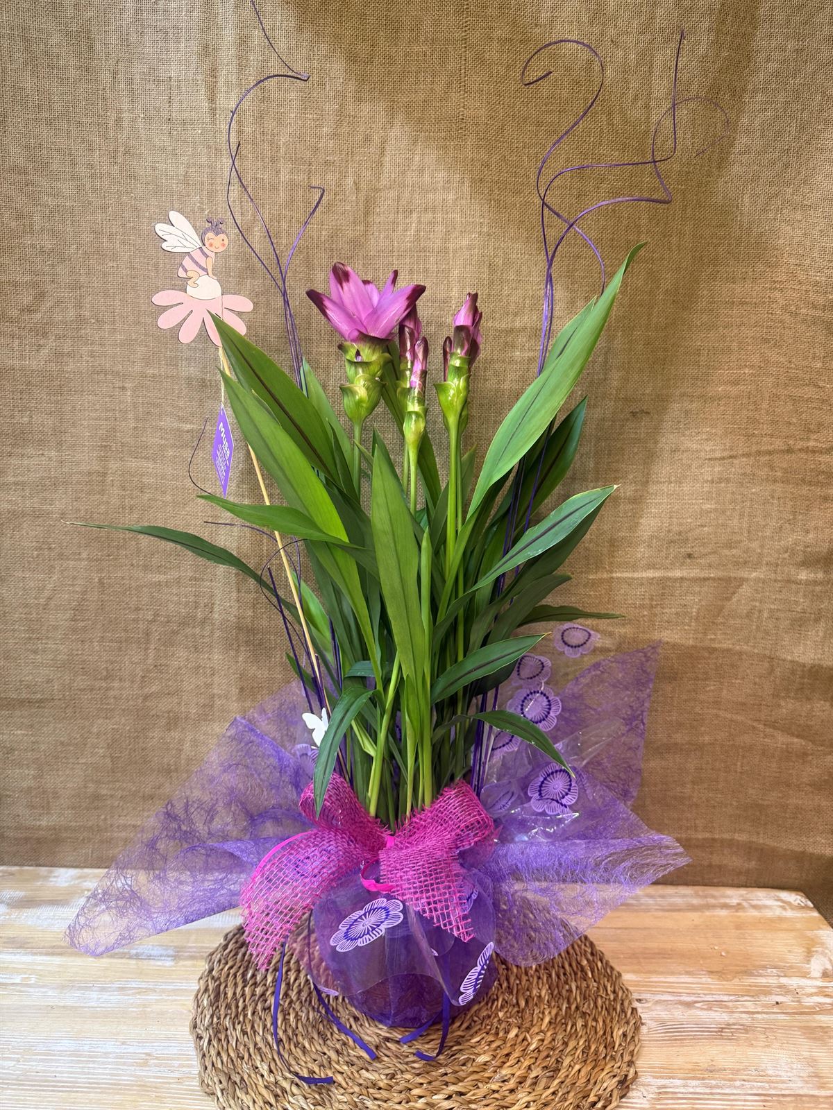 Curcuma - Imagen 1