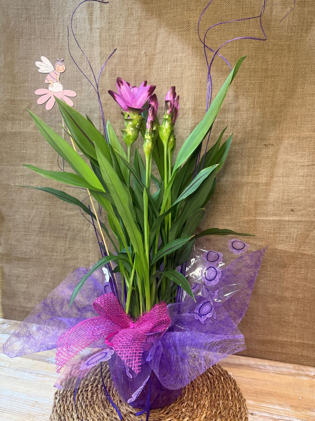 Curcuma - Imagen 3
