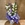 Dendrobium blanco con maceta - Imagen 1
