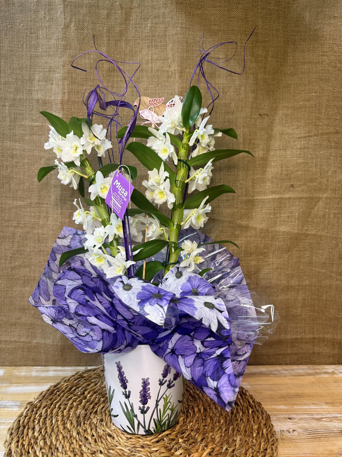 Dendrobium blanco con maceta - Imagen 3
