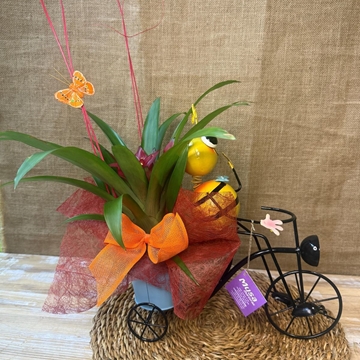 Figura de abeja con una guzmania - Imagen 1