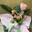 Medinilla - Imagen 2