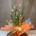 Miltonia - Imagen 1