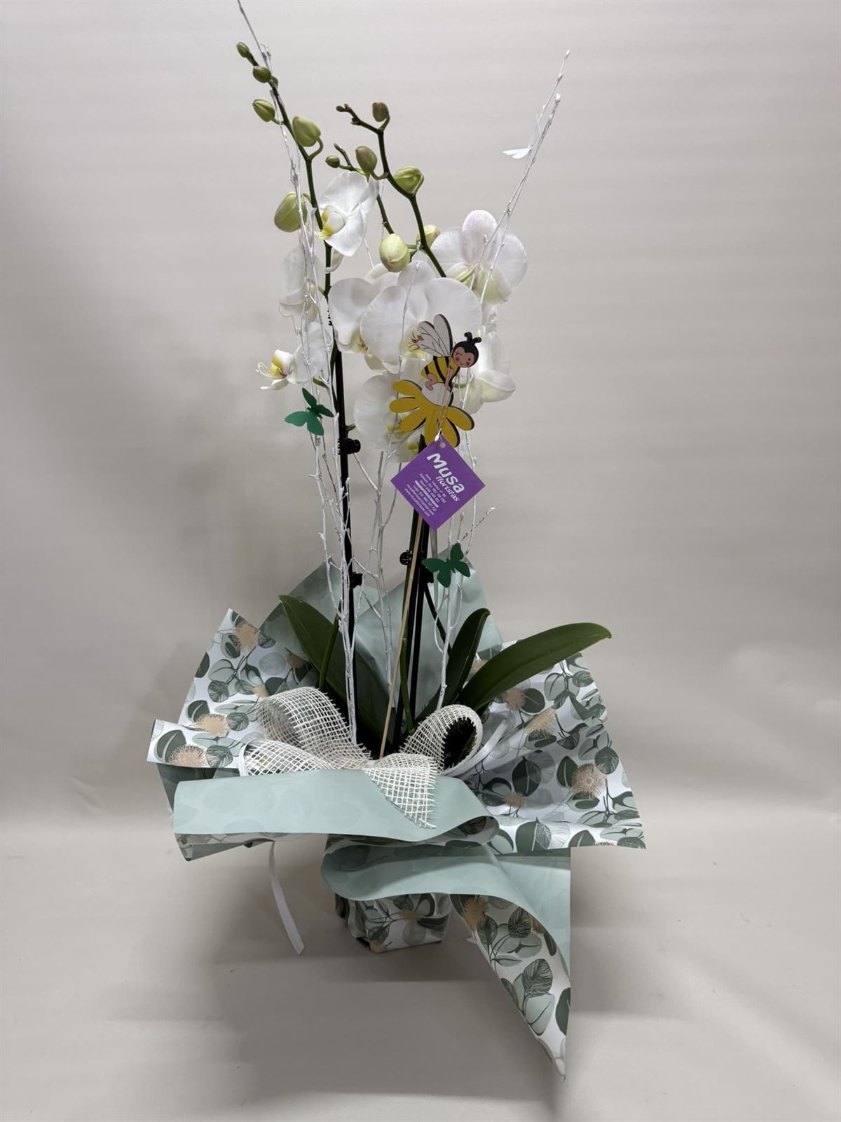 Orquídea blanca - Imagen 2