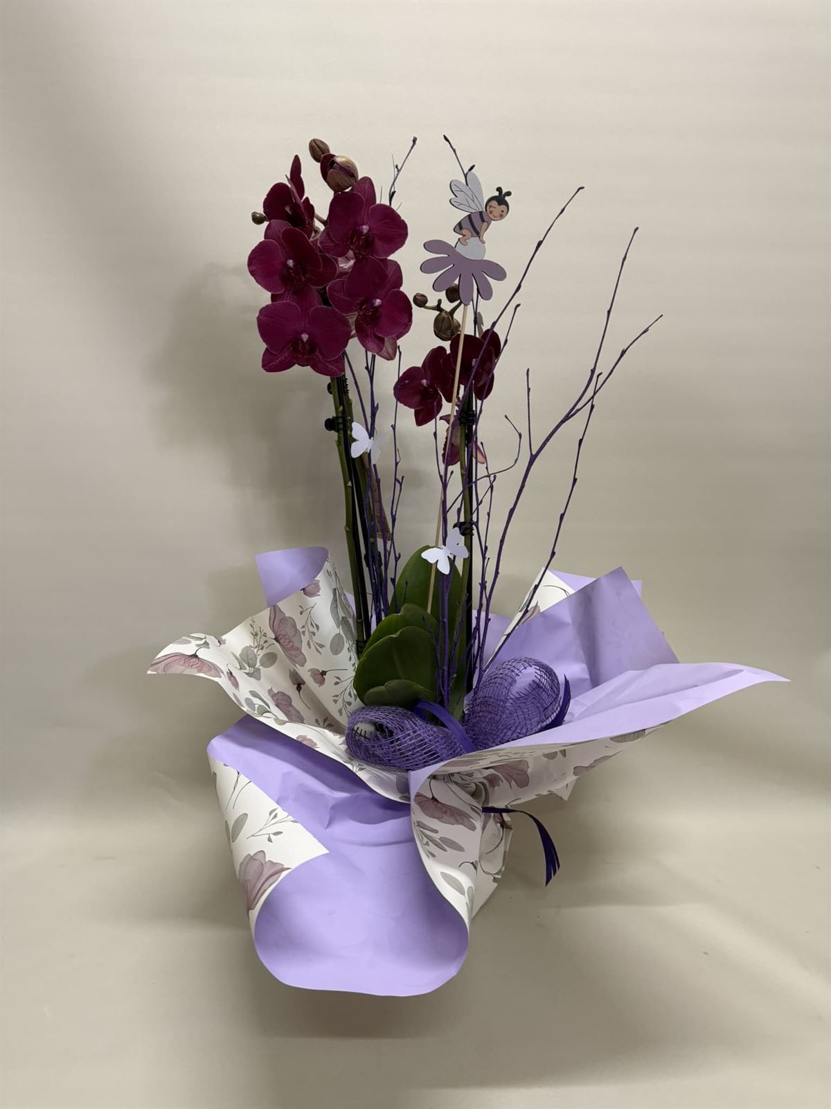 Orquídea fucsia - Imagen 1
