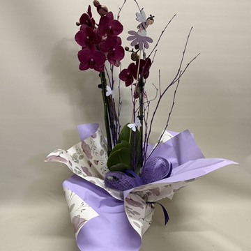 Orquídea fucsia - Imagen 1