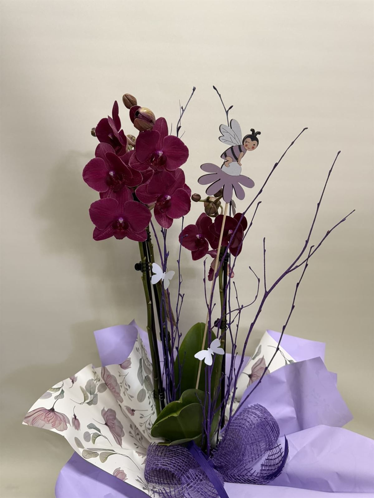 Orquídea fucsia - Imagen 2