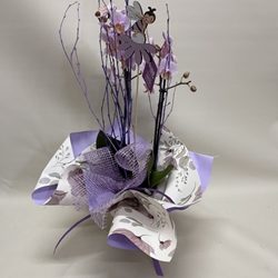 Orquídea lila claro pequeña - Imagen 1