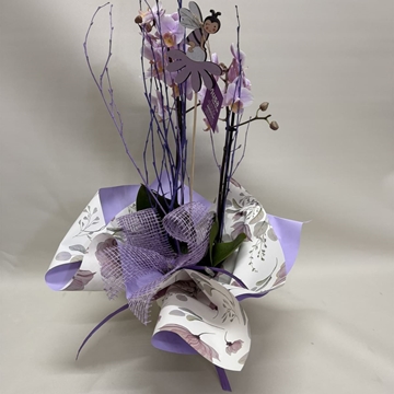 Orquídea lila claro pequeña - Imagen 1