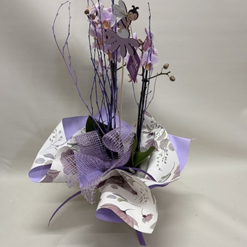Orquídea lila claro pequeña - Imagen 2