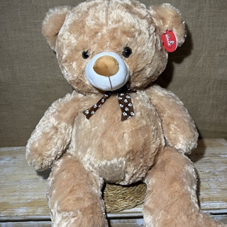 Oso marrón - Imagen 2