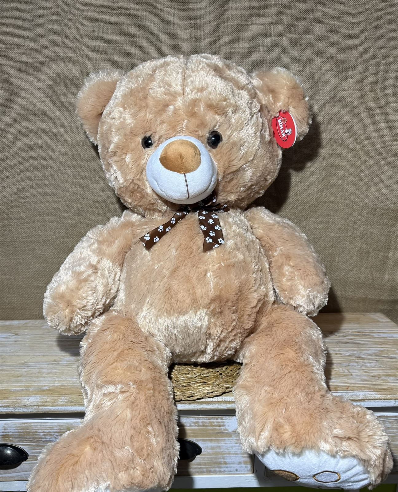 Oso marrón - Imagen 3