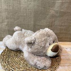 Oso tumbado - Imagen 1