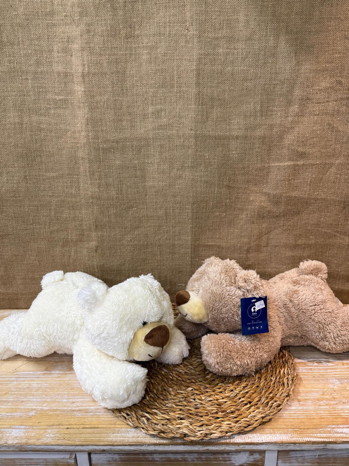 Oso tumbado - Imagen 2