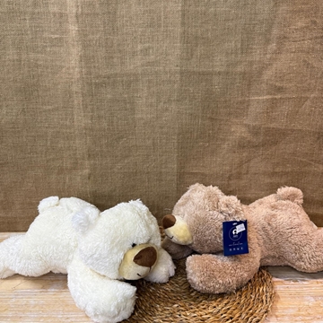 Oso tumbado - Imagen 2