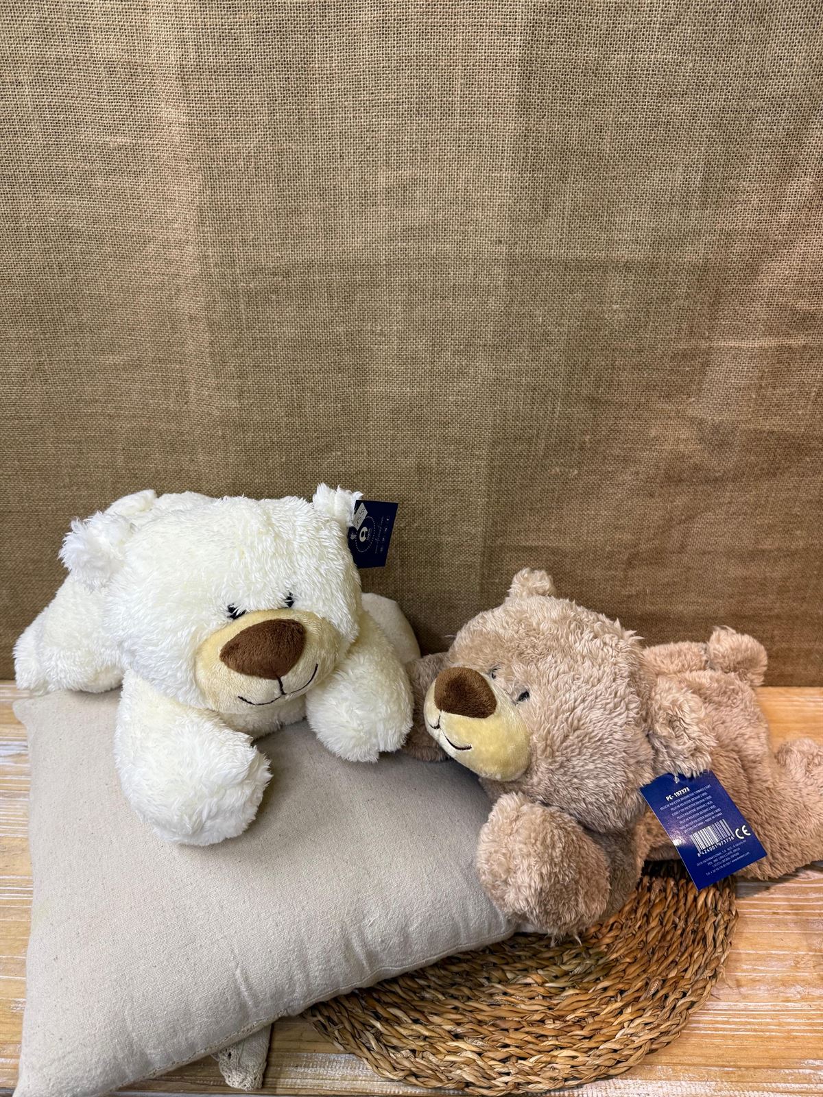 Oso tumbado - Imagen 3