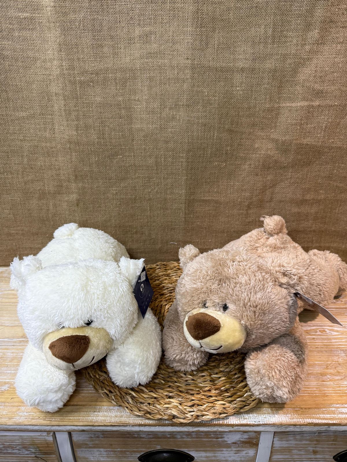 Oso tumbado - Imagen 4