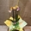 Phalaenopsis amarilla de 2 varas en cascada - Imagen 1