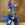 Phalaenopsis azul - Imagen 1