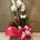 Phalaenopsis blanca de 5 varas - Imagen 1