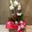 Phalaenopsis blanca de 5 varas - Imagen 2