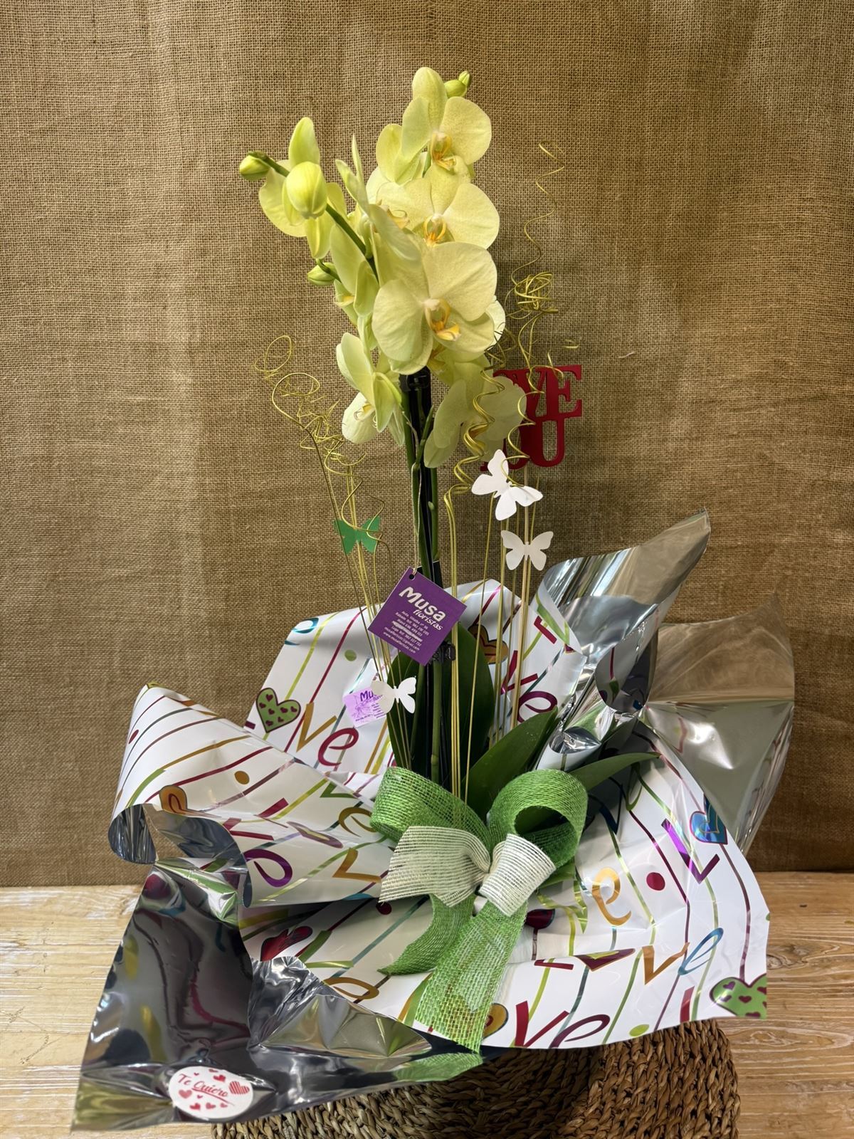 Phalaenopsis en tonos amarillos - Imagen 1