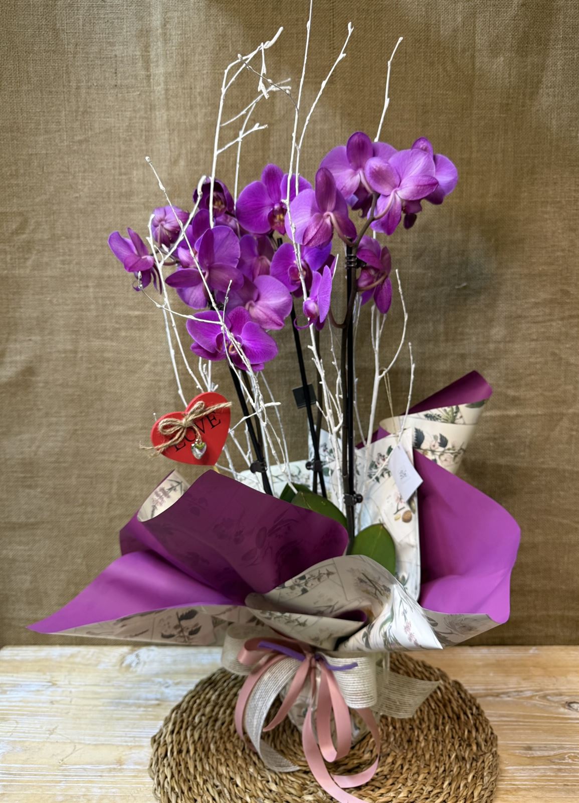 Phalaenopsis en tonos fucsia - Imagen 1