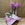Phalaenopsis mini morada - Imagen 1