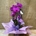 Phalaenopsis morada de 2 varas en cascada - Imagen 2