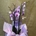 Phalaenopsis rosa - Imagen 2
