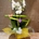 Phalenopsis en tonos blancos - Imagen 1