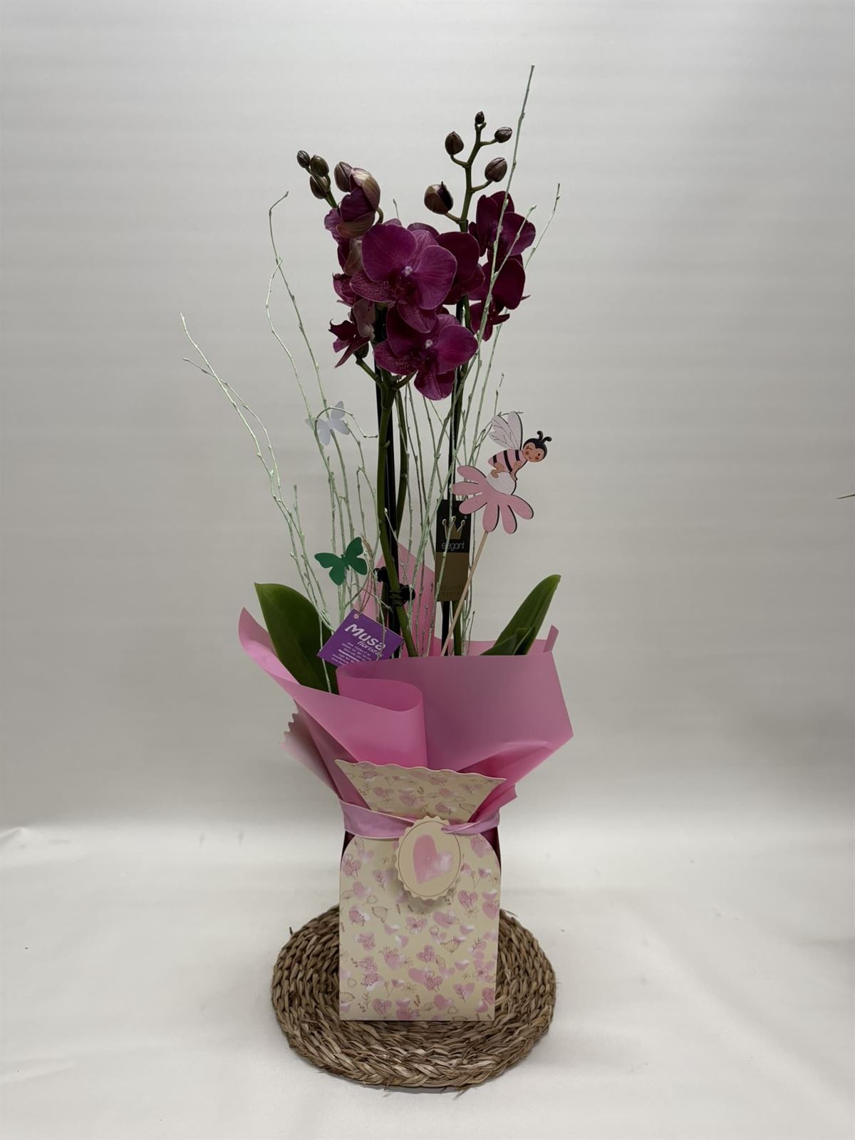 Phalenopsis fucsia en bolsa - Imagen 1