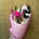 Ramo 1 rosa fucsia - Imagen 2
