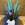 Sansevieria azul - Imagen 2